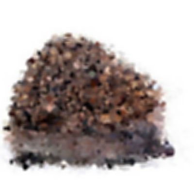 Level 4 Answer 8 - hedgehog