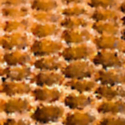 Level 19 Answer 3 - honeycomb