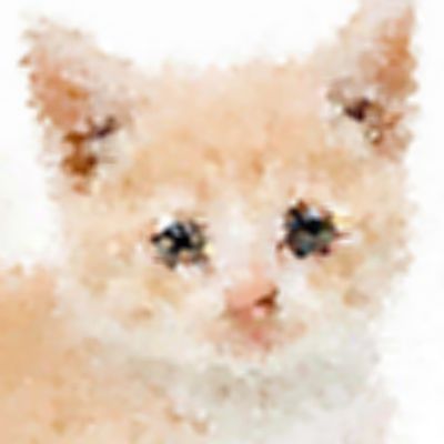 Close Up Pics Answers And Cheat Level 4 Page 1