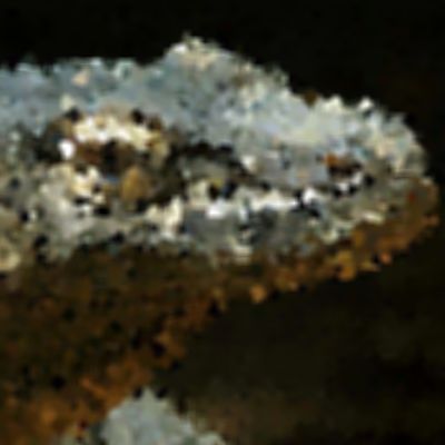 Level 14 Answer 9 - komodo dragon