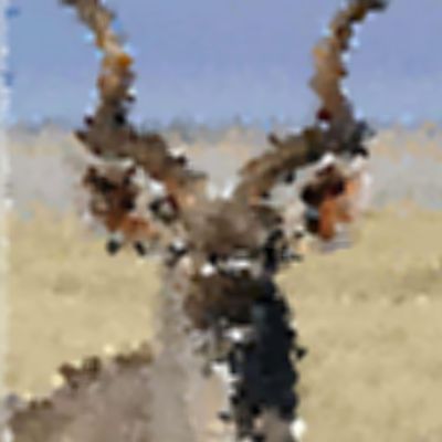 Close Up Pics Answers And Cheat Level 20 Page 1