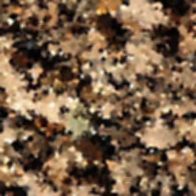 Level 1 Answer 8 - leaves