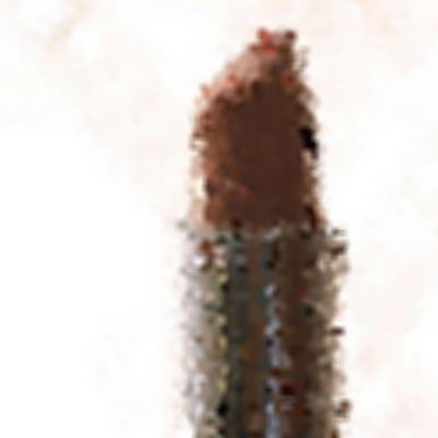 Level 12 Answer 7 - lipstick