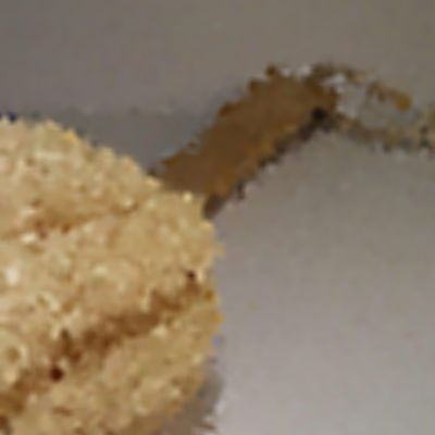 Level 38 Answer 5 - loofah