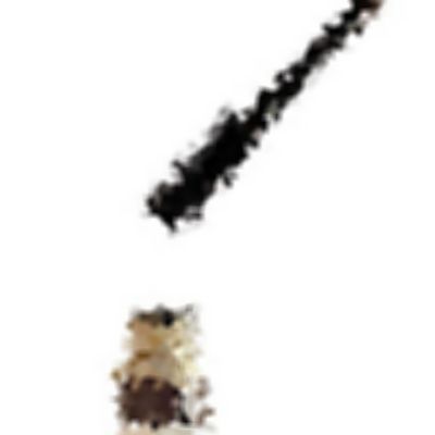 Level 14 Answer 1 - mascara