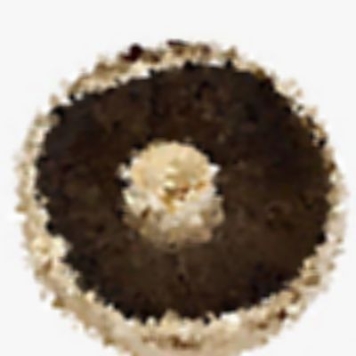 Level 3 Answer 9 - mushroom