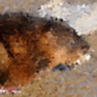 Level 16 Answer 3 - muskrat
