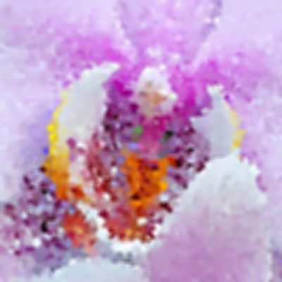 Level 44 Answer 7 - orchid