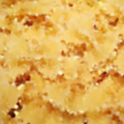 Close Up Pics Answers And Cheat Level 9 Page 1