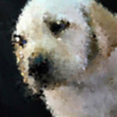 Level 4 Answer 10 - puppy