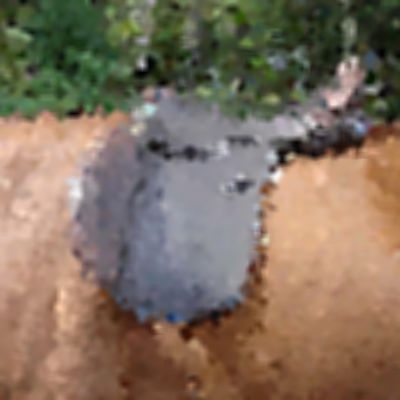 Level 10 Answer 4 - saddle