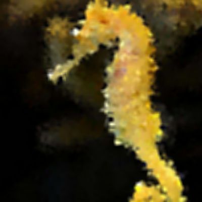Level 12 Answer 3 - seahorse