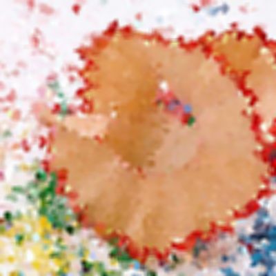 Level 19 Answer 8 - shavings