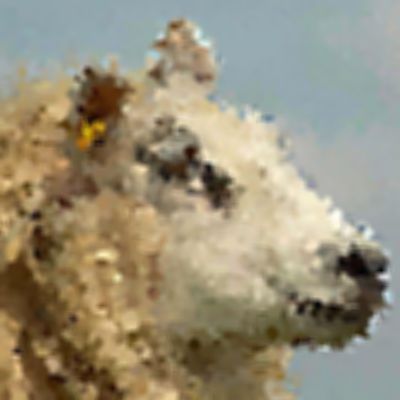 Level 28 Answer 6 - sheep