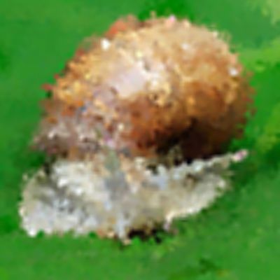 Level 7 Answer 4 - snail