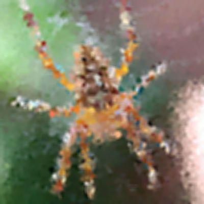 Level 8 Answer 3 - spider