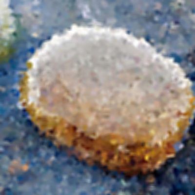 Level 25 Answer 9 - stone