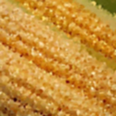 Close Up Pics Answers And Cheat Level 9 Page 1