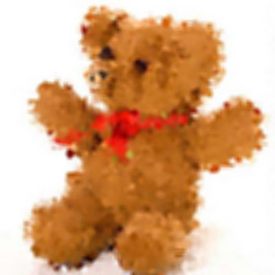Level 9 Answer 4 - teddy bear