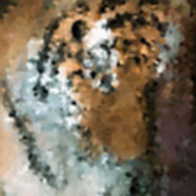 Level 1 Answer 7 - tiger