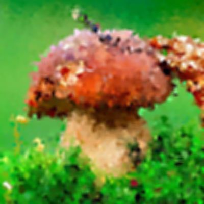 Level 21 Answer 6 - toadstool