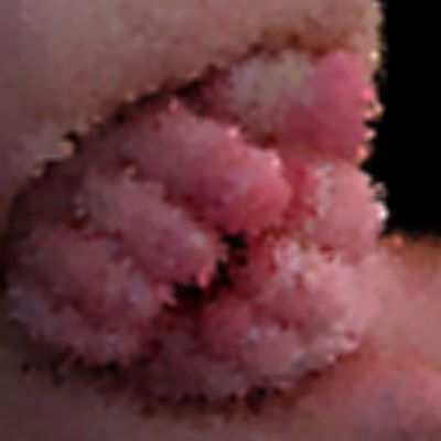 Level 35 Answer 8 - toes