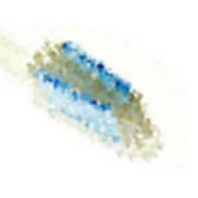 Close Up Pics Answers And Cheat Level 5 Page 1