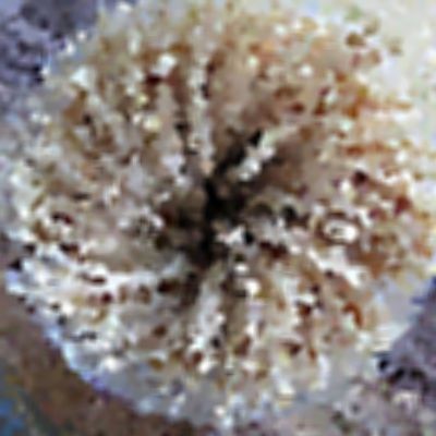 Level 34 Answer 2 - toothpicks