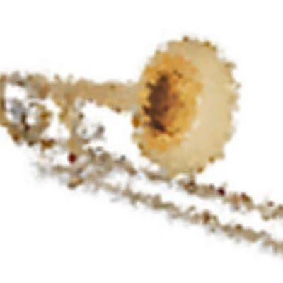 Level 24 Answer 5 - trombone