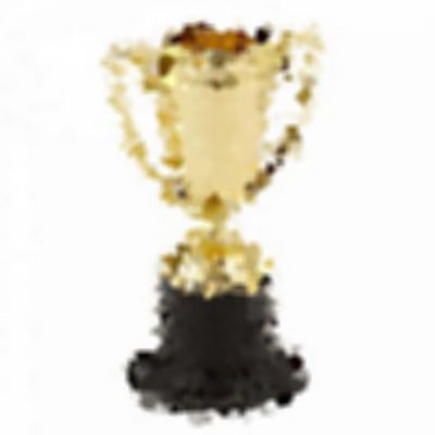 Level 26 Answer 4 - trophy