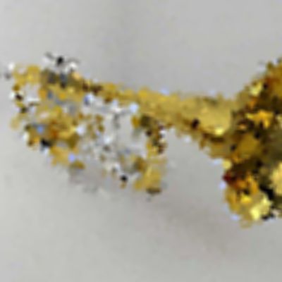 Level 41 Answer 9 - trumpet