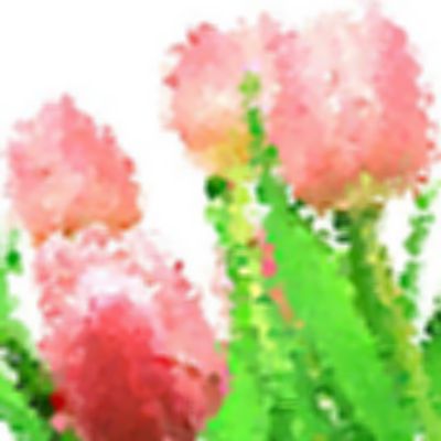 Level 16 Answer 1 - tulips