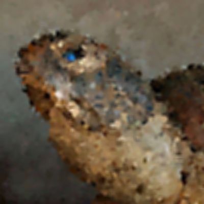 Level 10 Answer 7 - turtle