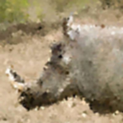 Level 14 Answer 2 - warthog