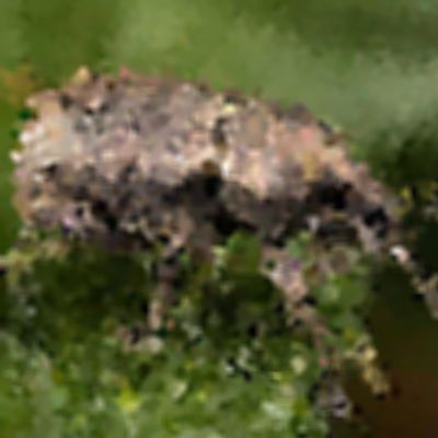 Level 18 Answer 9 - weevil