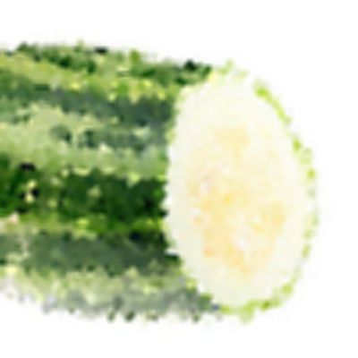 Level 11 Answer 1 - zucchini