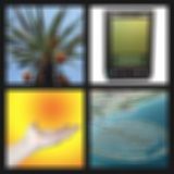 Level 21