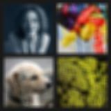 Level 227