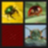 Level 38