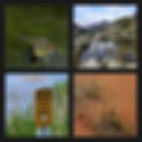 Level 8